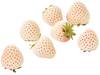 Whiteberry aardbeien 100gr. kist 12 stuks